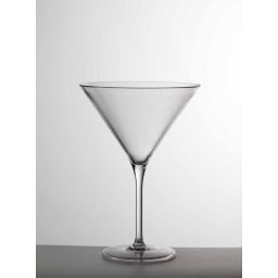 MARIO GIUSTI Бокал для мартини Martini, прозрачный