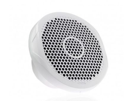 Морской 10-дюймовый сабвуфер Fusion MS-SW10