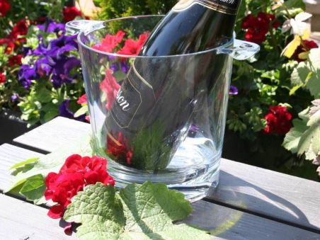 STRAHL Ведерство для шампанского 2370 мл